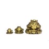 Gold Frog Collecting Goods (Kinseng/Squirrel) Three-legged Frog Three-legged Frog Fortune