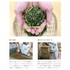 Gabai Farm Organic Cultivation Mulberry Leaf Tea 0.1 oz (3