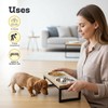 AASPIRE PETS Elevated Dog Bowls, 4” Small Dogs & Cats