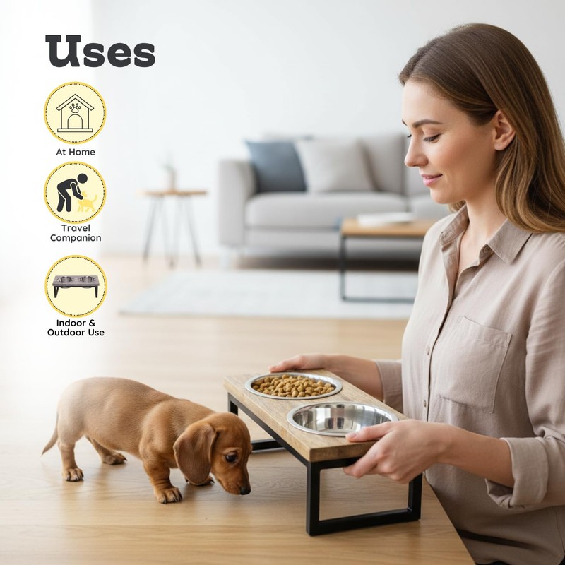 AASPIRE PETS Elevated Dog Bowls, 4” Small Dogs & Cats