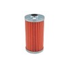 Massey Ferguson Fuel Filter - 3608255M1