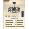 Fanbulous 20 Inch Fandelier Caged Ceiling Fans with Lights and