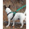 Joytale Dog Leash, 6 FT Double-Sided Reflective, Padded Handle Nylon