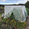Aoipend Fine Mesh Garden Netting for Protection, 10'x33' Vegetable Crop