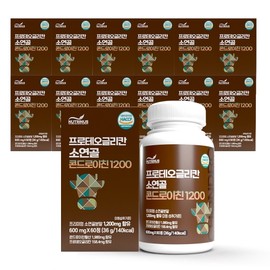 Nutrinus Proteoglycan Bovine Cartilage Chondroitin 1200, 600mg x 60 Tablets (12-Pack) Special Pack / 뉴트리너스 프로테오글리칸 소연골 콘드로이친1200 600mg x 60정 x ★12박스 ★