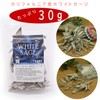 Aladdin Collection White Sage, 1.1 oz (30 g), White Sage,