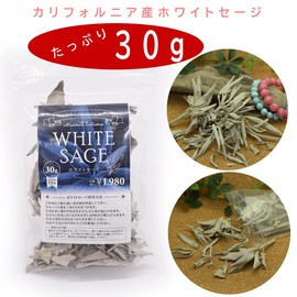 Aladdin Collection White Sage, 1.1 oz (30 g), White Sage, Pearl Shell, Natural Pearl Shells, Purification, Smudging, Incense Plate, Meditation, Power Stone, Feng Shui Healing Set