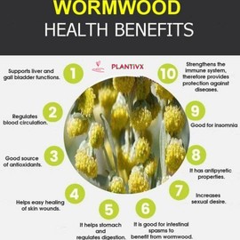 Wormwood Tincture 200 ml Bottle