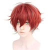Cosplay Wig, Hypnosis Cosplay Wig, Heat Resistant, Costume Accessory, Festival