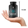 Creatina Monohidratada B-Life | 240 Cápsulas | Energía, Fuerza y