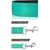 Heavy Dog Leashes for Large Dogs | Comfortable Padded Grip