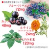 Dainichi Healthy Foods Blueberry Lutein 120 Tablets (Tablet Type) x
