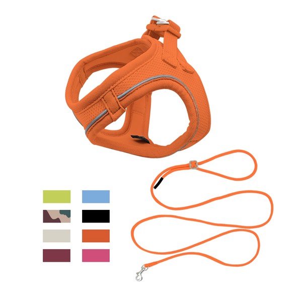 Qianruida Cat Harness and Leash Set Kitten Puppy Harness Adjustable