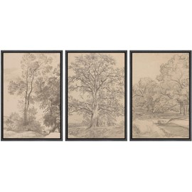 Ashbrook Framed Canvas Print Wall Art Set Retro Vintage Sketchbook Forest Country Landscape Farmhouse Decor Nature Wilderness Illustrations Floral Botanical Retro for Bedroom - 24"x36"x3 BLACK