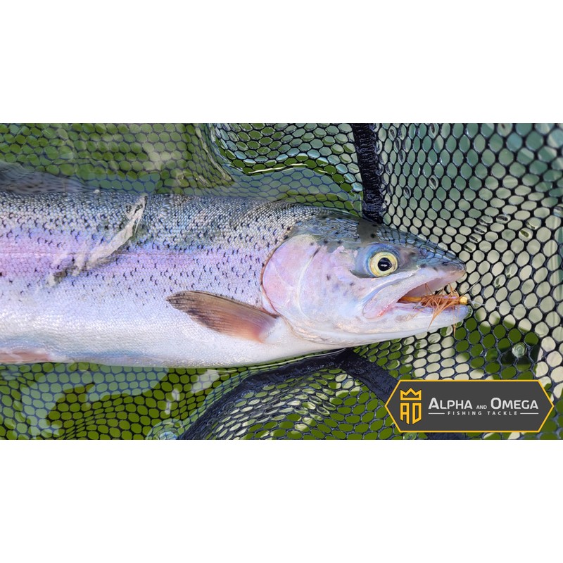 ALPHA and OMEGA - Woolly Bugger Fly KIT (20 Flies)