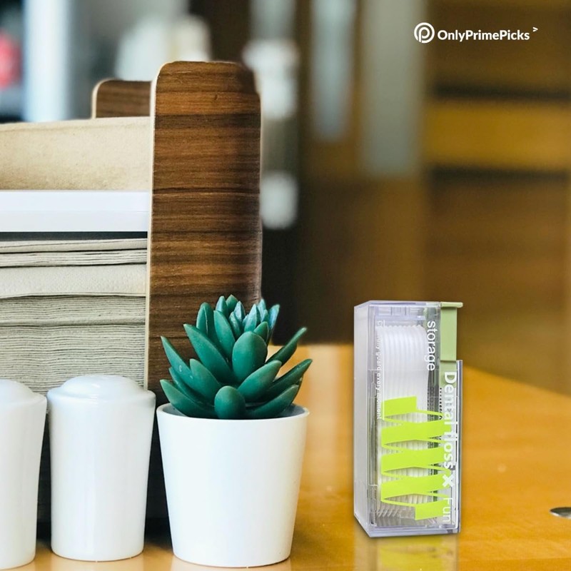 2-Piece Refillable Floss Pick Dispenser with 20 Floss Picks -