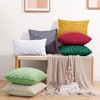 CJWLKJ 2Pcs Soft Faux Fur Throw Pillow Covers 18x18 -