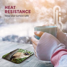 Great Single Coaster Square - Balinese Cat in Tree Blue Eyes |Glossy Quality Coasters | Tabletop Protection for Any Table Type #15812