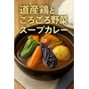 【道産鶏とごろごろ野菜のスープカレー 360g×1食】北海道産鶏肉使用／常温保存 レトルトカレー 中辛 ご当地グルメ 野菜たっぷり 惣菜 非常食 ギフトにも (1人前,