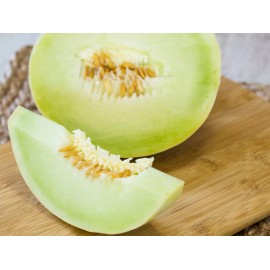 TomorrowSeeds Honeydew Melon Seeds | Green Flesh Honey Girl Dew Cucumis Bailan Fruit Seed 2025 - 50+ Count