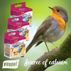 Vitapol Wapienko Bird Calcium Block – Natural Supplement for Beak