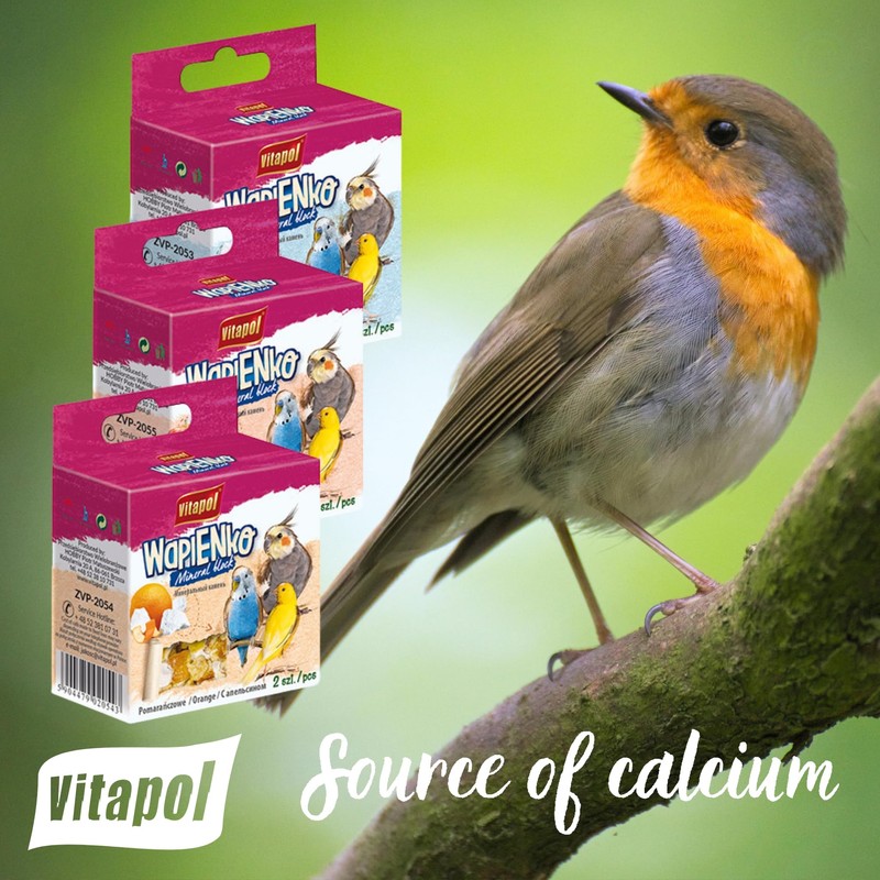 Vitapol Wapienko Bird Calcium Block – Natural Supplement for Beak