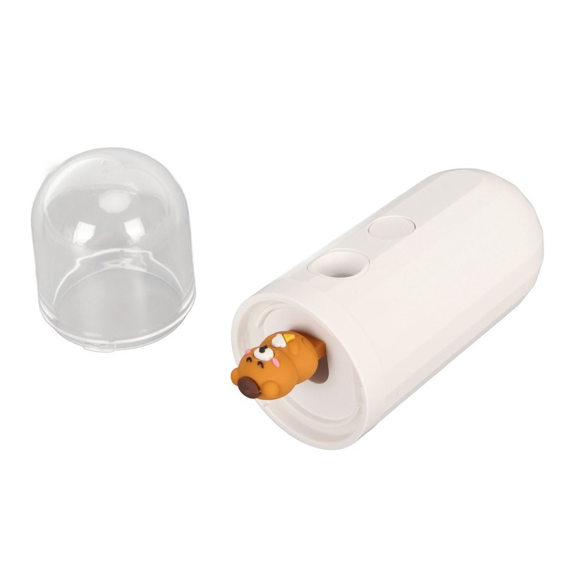 Nano Mist Sprayer Handheld 250mAh USB Rechargeable Nano Mister Facial