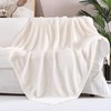 Panku Ultra Soft Cozy Knit Throw Blanket for Couch and