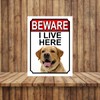 BEWARE I LIVE HERE METAL GATE SIGN YELLOW LABRADOR 200MM