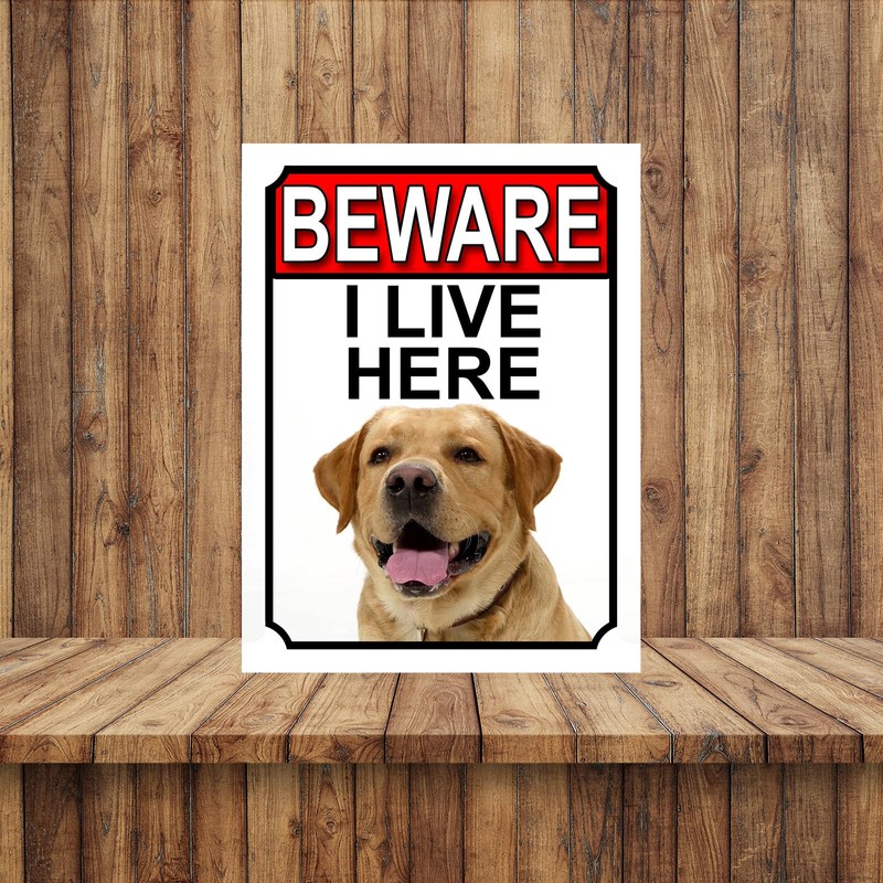 BEWARE I LIVE HERE METAL GATE SIGN YELLOW LABRADOR 200MM
