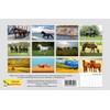 2025 Spiral-bound Wall Calendar (Horses) - 12 Months Desktop/Wall Calendar/Planner