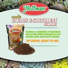 Hoffman Organic Cactus and Succulent Soil Mix to Provide Proper