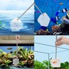 Aquarium Shrimp Net Tiny Fish Tank Net, 2Pcs Fish Tank