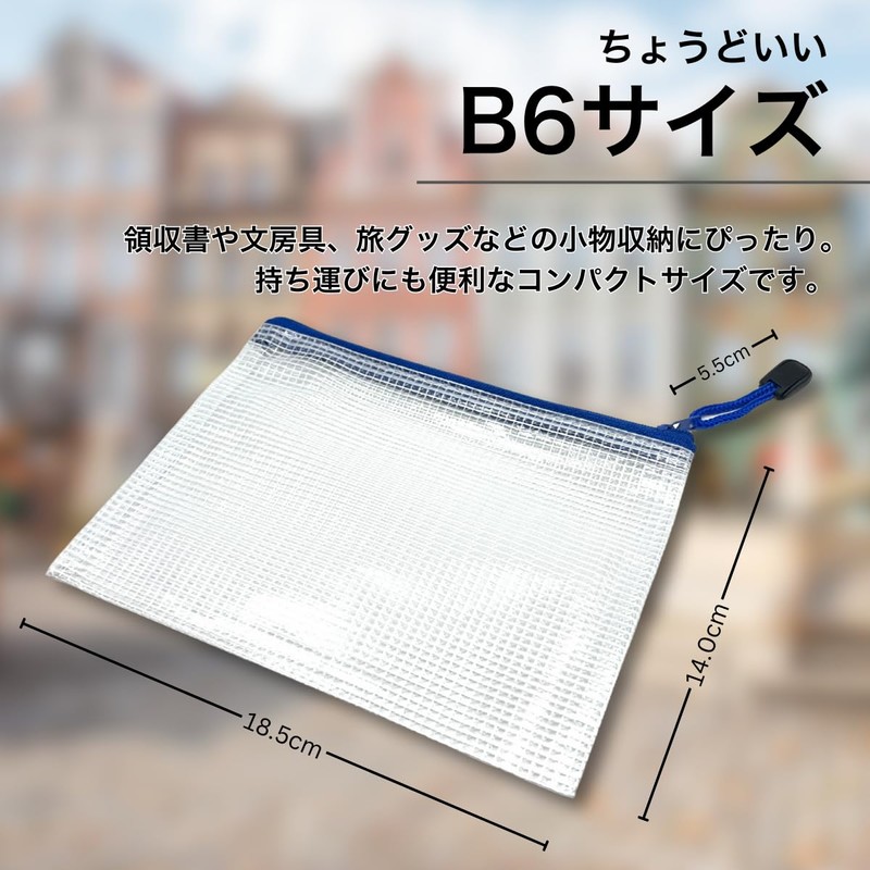 HINH B6 Zippered File Bags with Label Stickers, Translucent PVC,