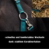 Pferdelinis Halter for Warmblood, Thoroughbred, Cold Blood, Pony - Stable