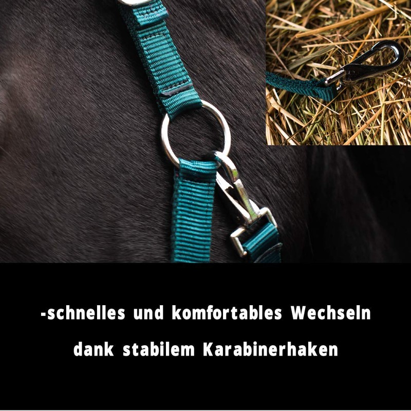 Pferdelinis Halter for Warmblood, Thoroughbred, Cold Blood, Pony - Stable