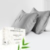 Southshore Fine Living, Inc. Standard/Queen Size Pillow Cases Set of