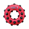 KONG - Dotz Circle - Dog Chew Toy, Helps Clean