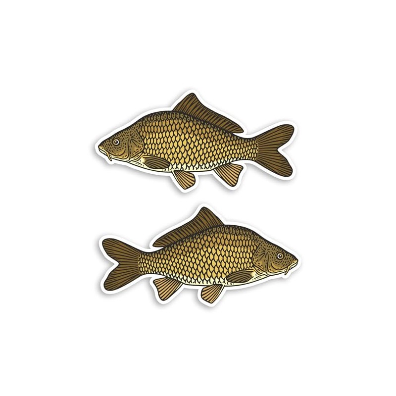 2 x 10cm Carp Fish Vinyl Stickers - Fishing Dad