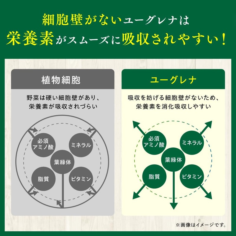 小林製薬の栄養補助食品 [ 公式 ] 石垣島のユーグレナ ミドリムシ サプリメント 【食事が偏りがちな中高年の方に】 [ 栄養補助食品
