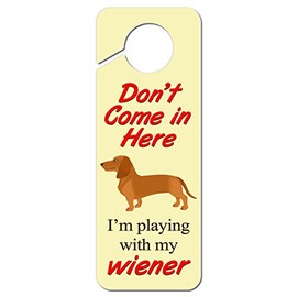 Graphics and More Don't Come in Here I'm Playing with My Wiener Plastic Door Knob Hanger Sign