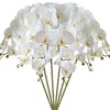 FagusHome - Flores artificiales de Phalaenopsis de 33 pulgadas, 6