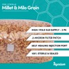 Millet & Milo Grain Spawn | 2-Pack (5 lb Each)