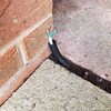 1STec 5m 20mm External 14mm Internal Underground Cable Conduit Ducting