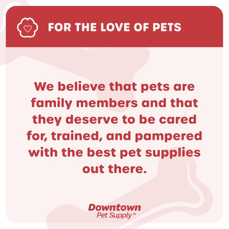 Downtown Pet Supply Step in Dog Harness No Pull, XX-Large,