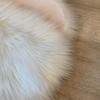 LAMBZY High Pile Super Soft Faux Sheepskin Rug (White, 2'x3')