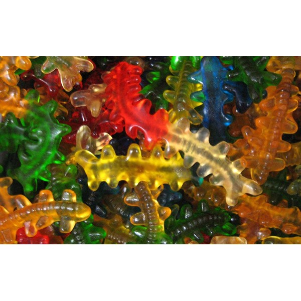 Gummy Centipedes Scorpion Candy 2.2 Pounds Assorted Flavors Gummi Candy