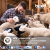 Biped 2 Pairs of Extra Thick Wool Soles Made of