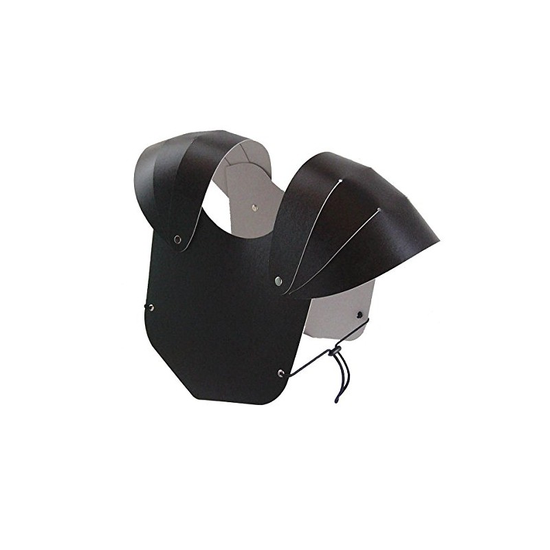 BestSaller Chest Armour for Children, Sturdy Box, Ready Assembled, Colour: