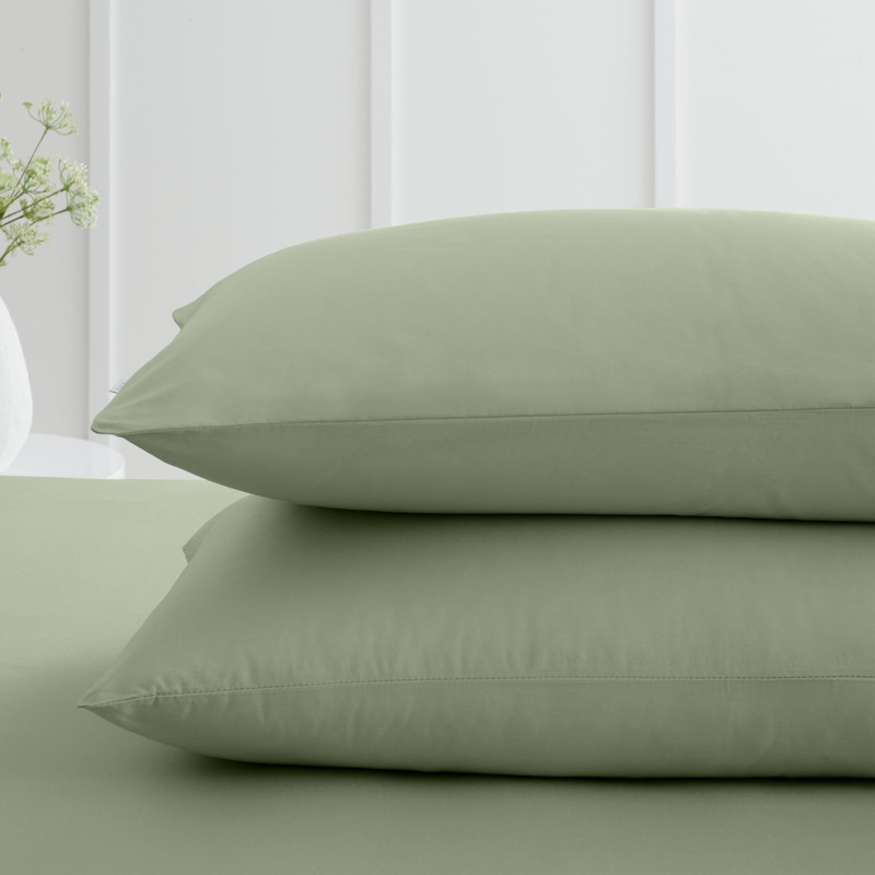 Bianca 200 Thread Count Cotton Percale Standard Pillowcase Pair Sage